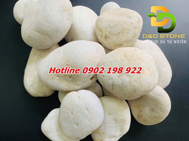 tong-kho-chuyen-cung-cap-soi-trang-tri-cac-loai-gia-tan-xuong-giao-toan-quoc