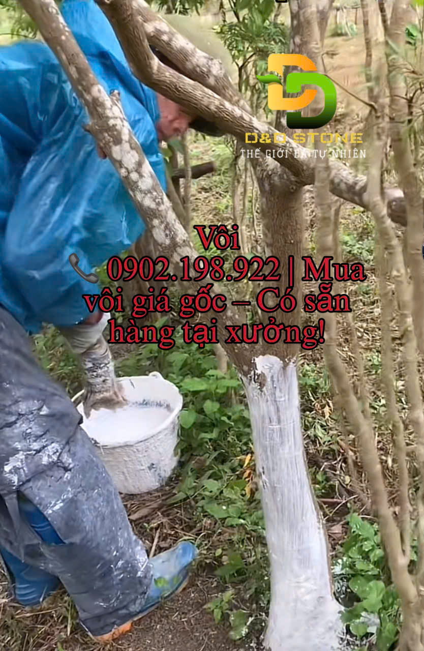 ung-dung-cua-voi-trong-nong-nghiep-thuy-san-va-xu-ly-moi-truong