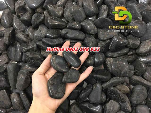 tong-kho-chuyen-cung-cap-soi-trang-tri-cac-loai-gia-tan-xuong-giao-toan-quoc