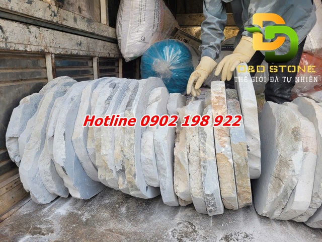 da-dao-vuon-nghe-thuat-trong-canh-quan