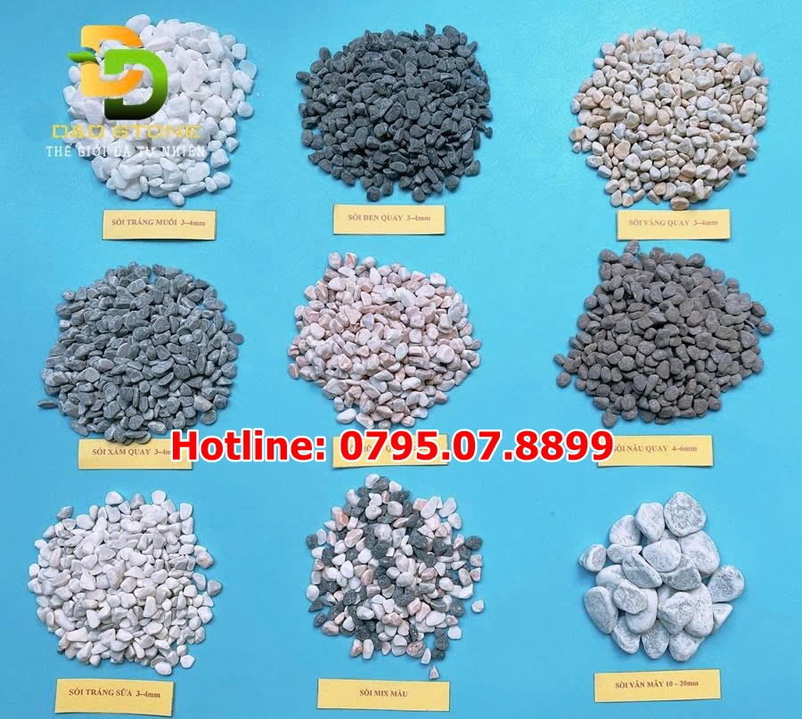 cac-loai-soi-san-vuon