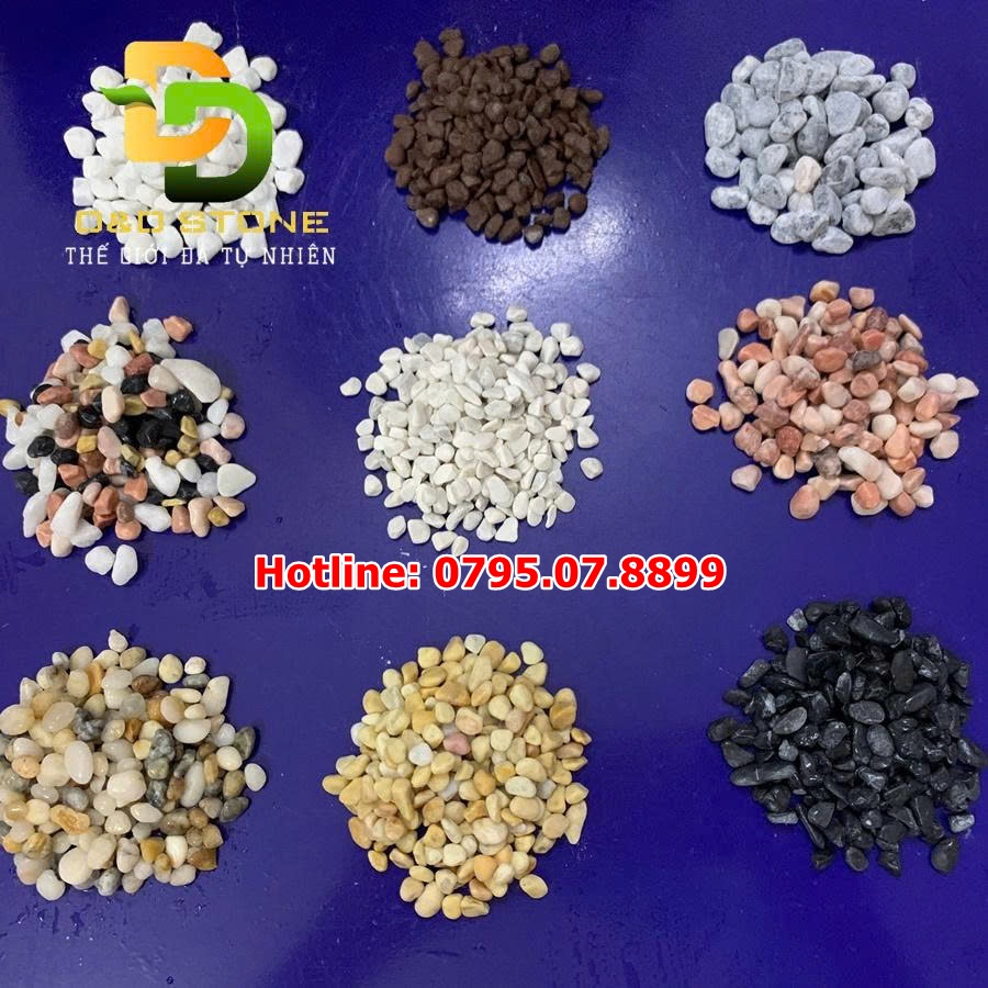 cac-loai-soi-trang-tri