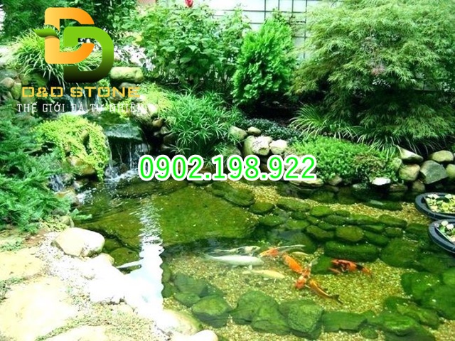 ho-ca-canh-co-dung-zeolite-duoc-khong