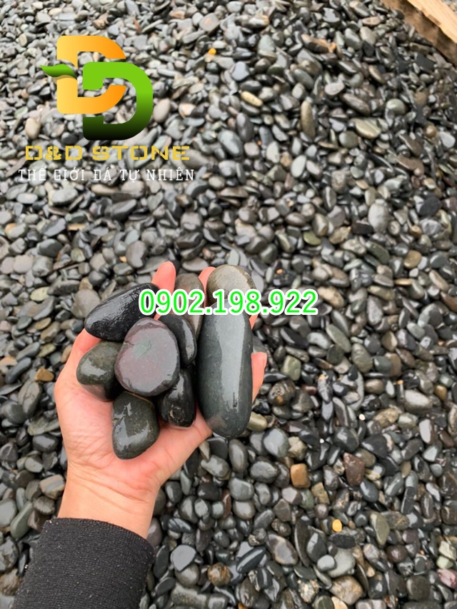 tong-kho-soi-trang-tri