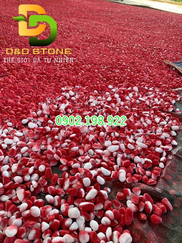 sua-sang-san-vuon-don-tet-chon-soi-da-sao-cho-sang-nha-ben-dep
