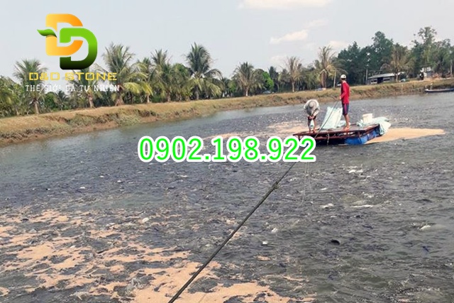 zeolite-dung-cho-ao-nuoi-dung-sao-cho-nuoc-sach-tom-ca-khoe-khong-ton-tien-oan