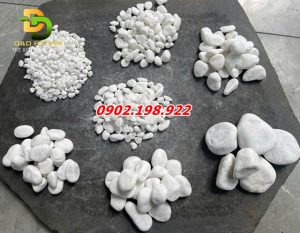 soi-trang-muoi-trong-thiet-ke-canh-quan