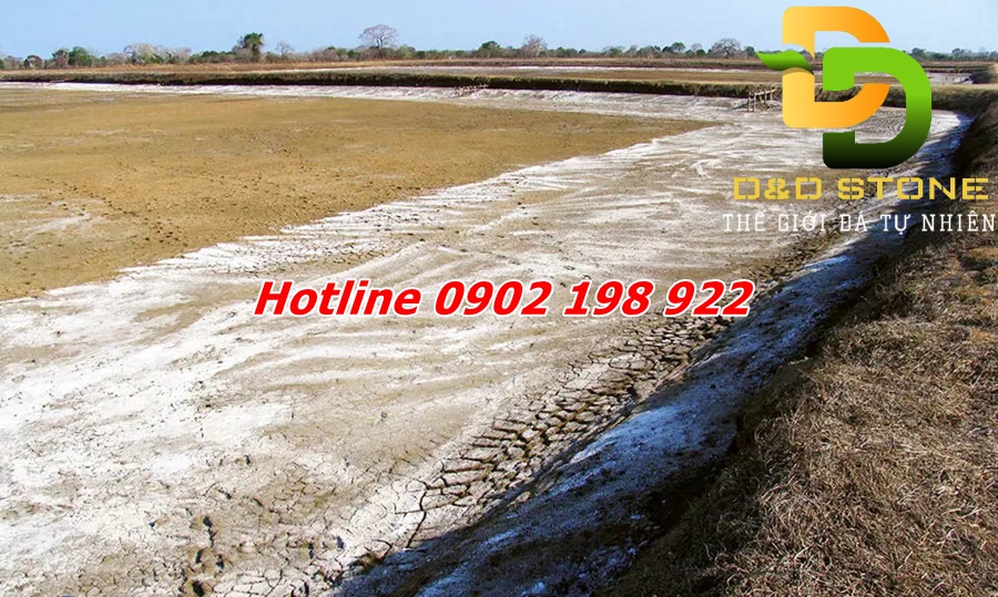 voi-thuy-san-mien-tay-giai-phap-on-dinh-moi-truong-ao-nuoi-hieu-qua