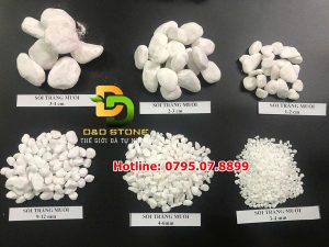 soi-trang-dai-san-vuon