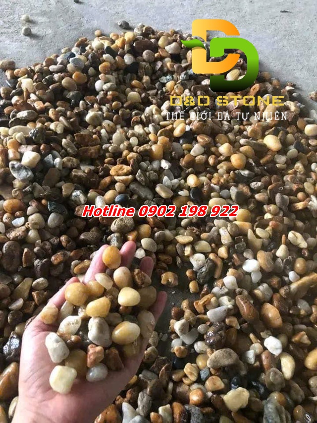 soi-song-tu-nhien-dung-trong-san-vuon-va-tieu-canh-co-gi-dac-biet