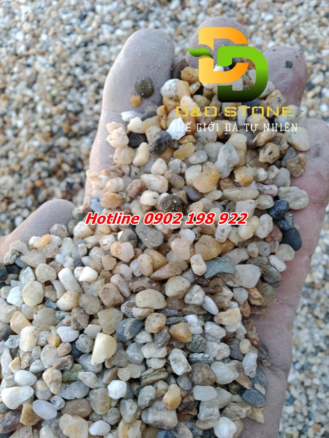 soi-song-tu-nhien-dung-trong-san-vuon-va-tieu-canh-co-gi-dac-biet