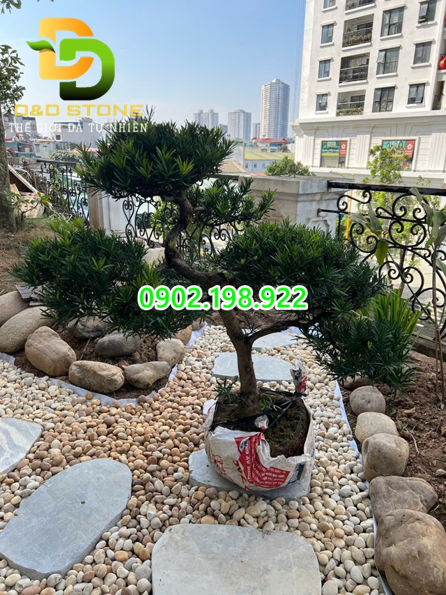 cung-cap-da-buoc-dao-so-luong-lon-gia-tan-xuong-giao-nhanh