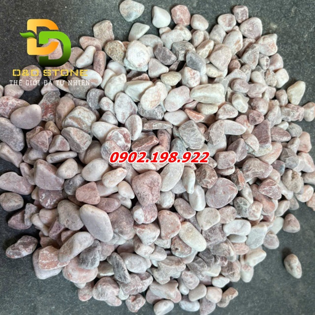 bao-gia-cac-loai-soi-quay-trang-tri-san-vuon-hom-nay