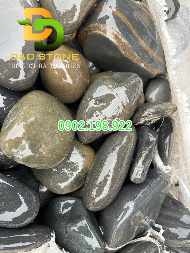 soi-trang-tri-co-nhung-loai-nao-cach-phoi-canh-dep