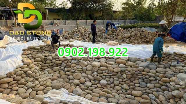 da-cuoi-tu-nhien-vat-lieu-trang-tri-ben-dep-theo-thoi-gian