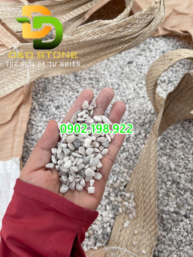 soi-trang-sua-gia-xuong-ung-dung-trong-trang-tri-san-vuon-hien-nay