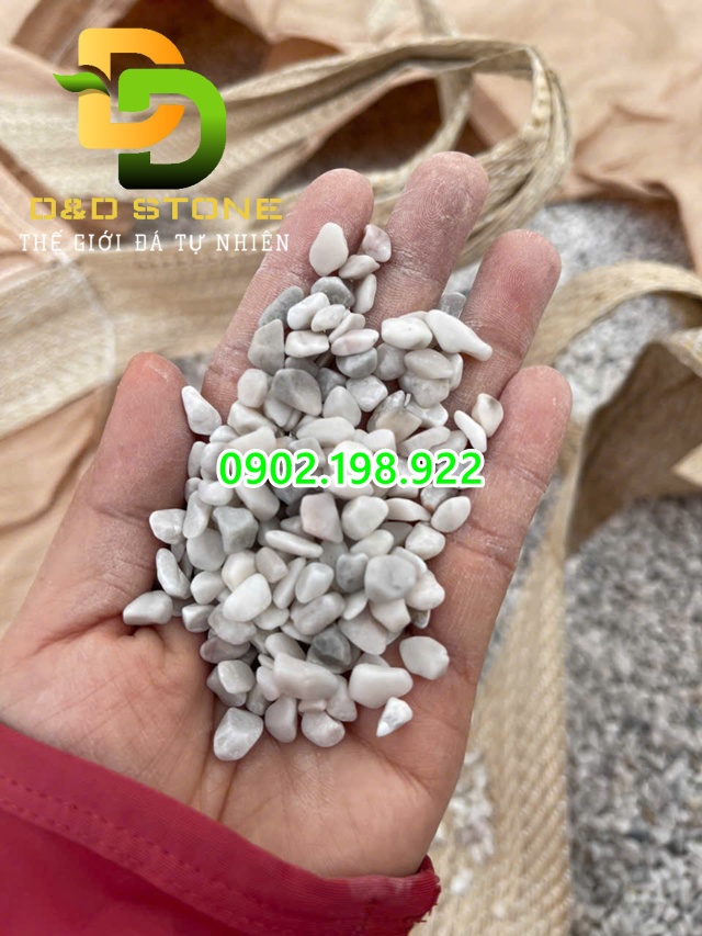 soi-trang-sua-gia-xuong-ung-dung-trong-trang-tri-san-vuon-hien-nay