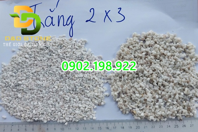 soi-trang-sua-gia-xuong-ung-dung-trong-trang-tri-san-vuon-hien-nay