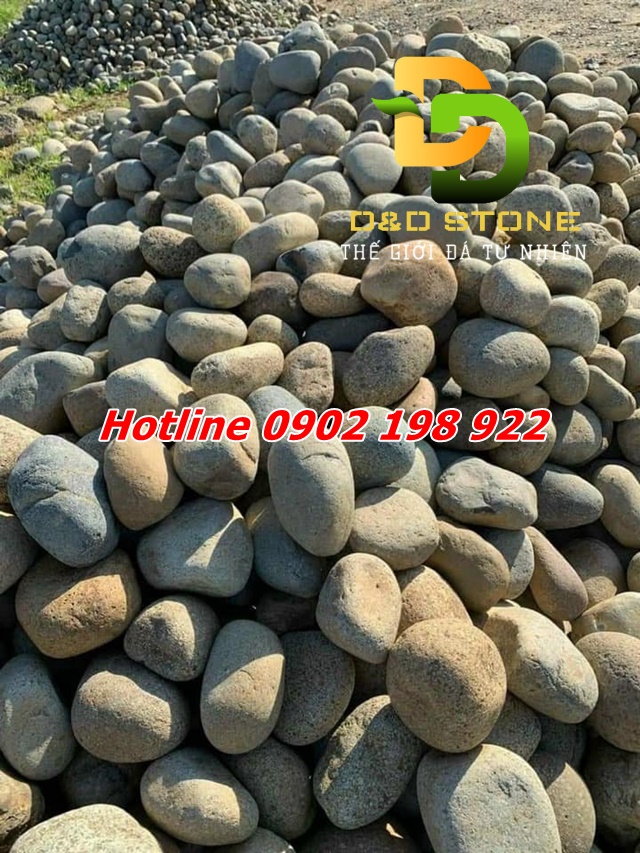 mua-da-cuoi-san-vuon-o-dau-chat-luong-gia-tot