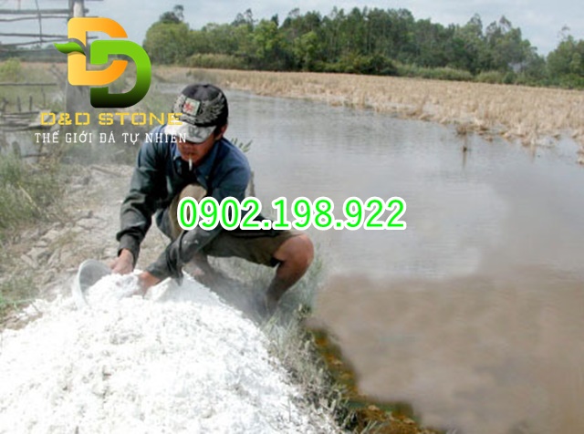 voi-xu-ly-ao-nuoi-giai-phap-toi-uu-cho-nganh-thuy-san-hien-nay