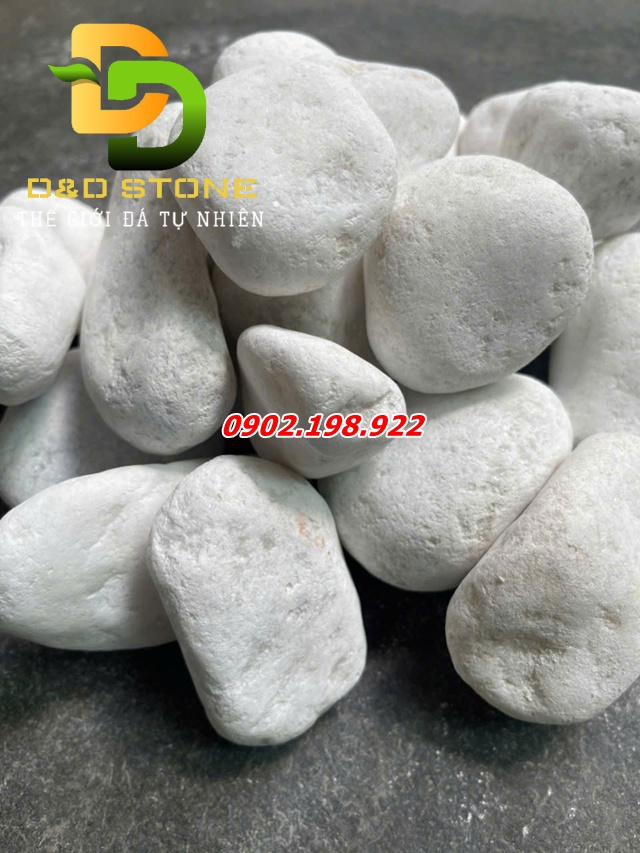 soi-trang-muoi-tu-nhien-va-xu-huong-trang-tri-san-vuon-hien-nay