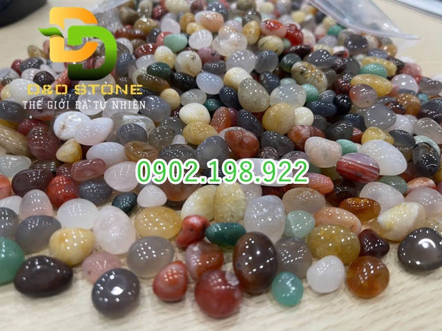 soi-ma-nao-ngu-sac-va-xu-huong-trang-tri-tieu-canh-cao-cap