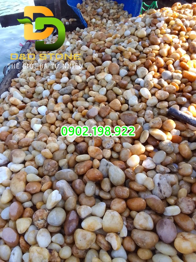 xuong-san-xuat-soi-quay-uy-tin-giao-hang-toan-quoc