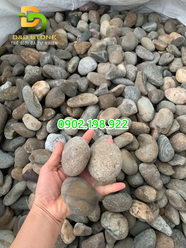 soi-lan-mau-cac-kich-thuoc