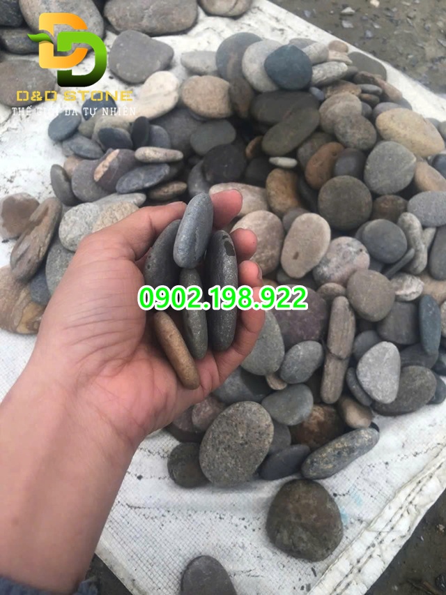 soi-lan-mau-cac-kich-thuoc